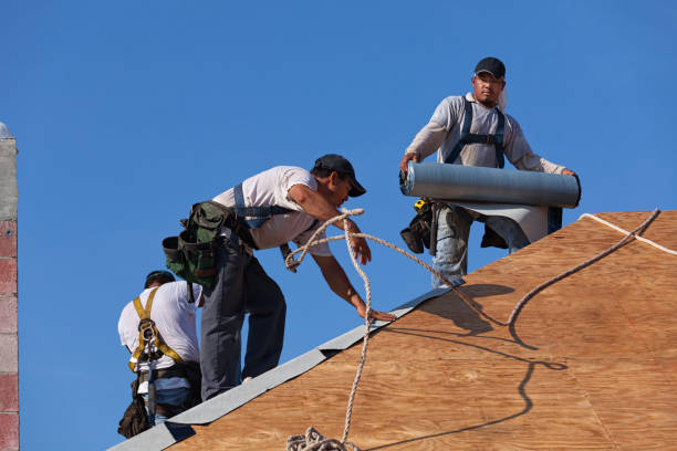 Roof Gutter Cleaning in Fort Bragg, CA