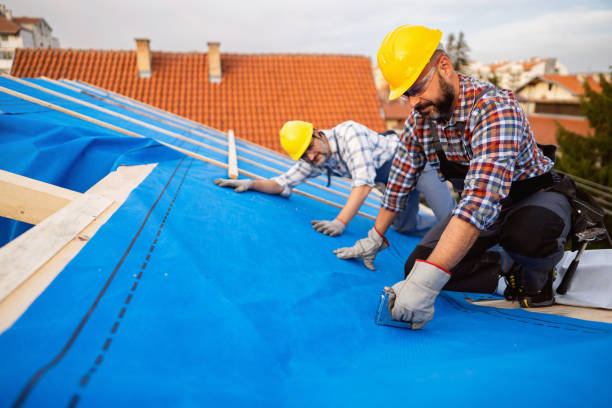 Best Roof Repair Services  in Fort Bragg, CA